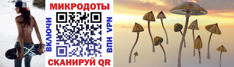 Галлюциногенные грибы Psilocybe  Голицыно 